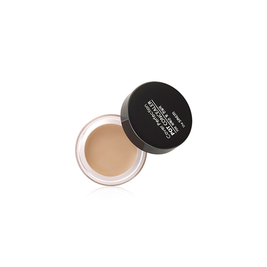 The Saem Cover Perfection Pot Concealer